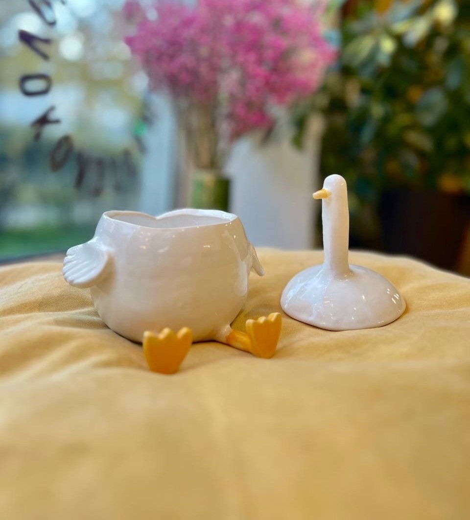 Баночка «Гусь-обнимусь» (13+) фото 4